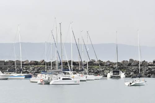 Wollongong – Trans women dating