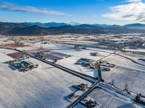 Abbotsford – Trans women dating