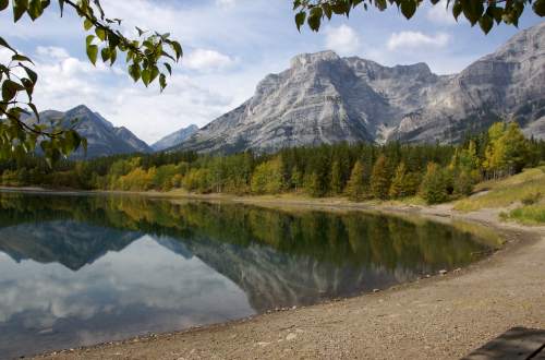 Ajax – Trans women dating