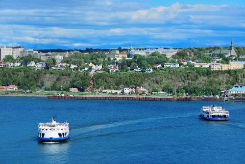 Levis – Trans women dating