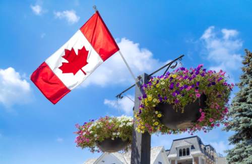 Markham – Trans women dating