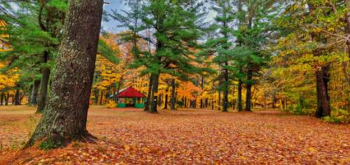 Sault Ste Marie – Trans women dating