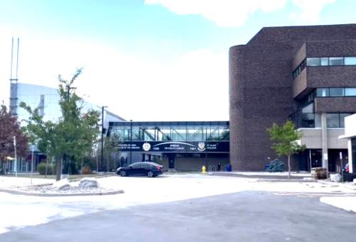 St Clair – Trans women dating