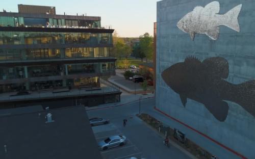 Bentonville – Trans women dating