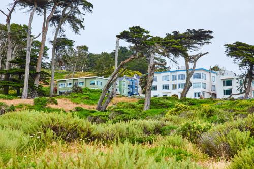 Cypress – Trans women dating