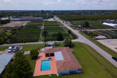 Homestead – Trans women dating