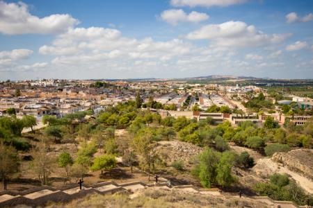 Las Cruces – Trans women dating