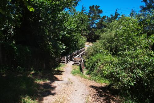 Monterey Park – Trans women dating