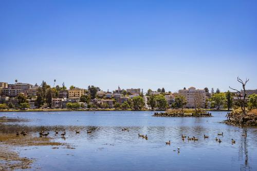 Oakland – Trans women dating