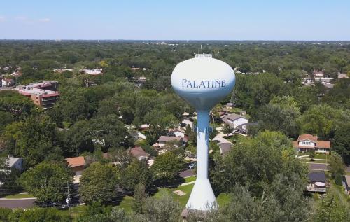 Palatine – Trans women dating