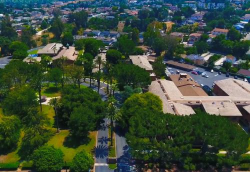 Rosemead – Trans women dating