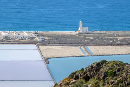 Salinas – Trans women dating