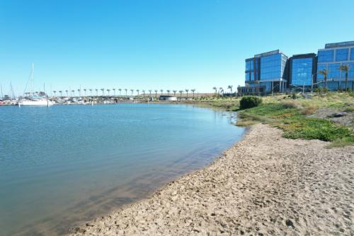 San Bruno – Trans women dating