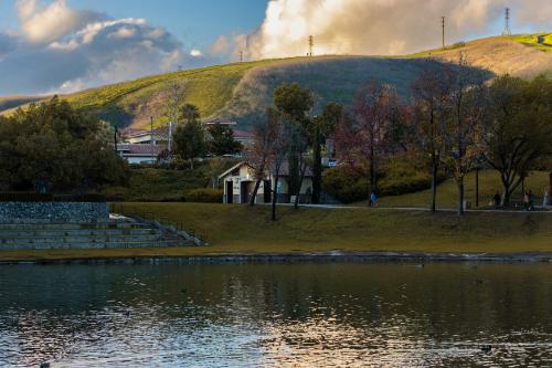 San Ramon – Trans women dating