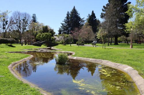 Santa Rosa – Trans women dating