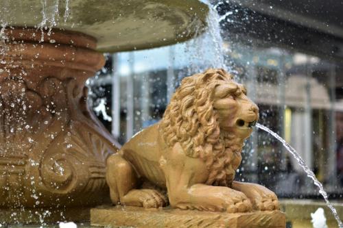 Skokie – Trans women dating