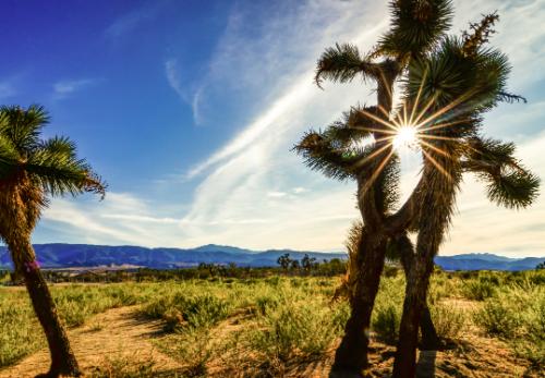 Victorville – Trans women dating