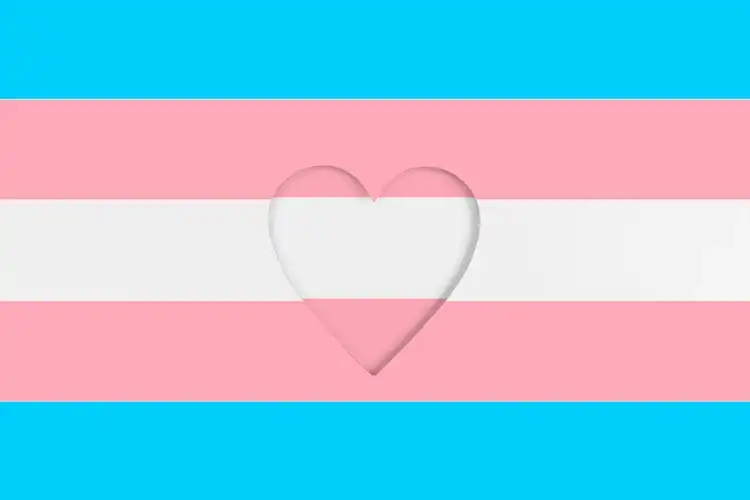 Transgender flag with a heart symbol