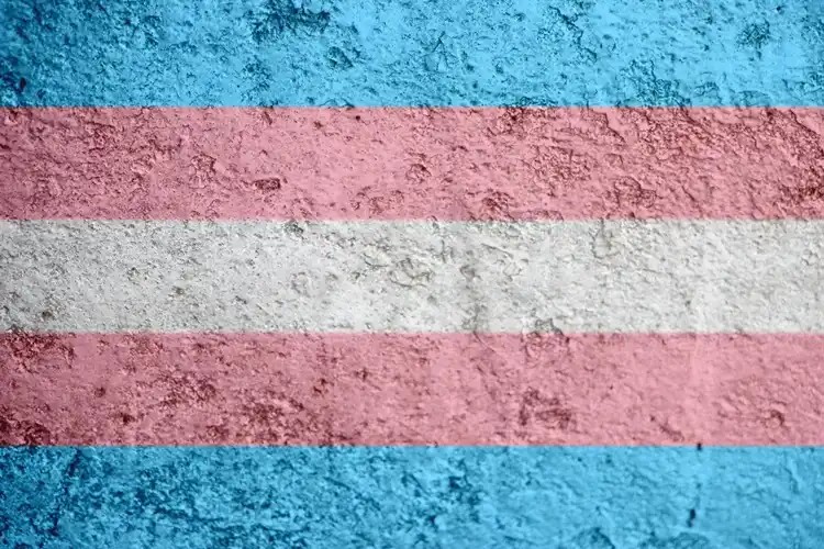 Painted transgender flag on a textured wall